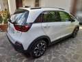 Honda Jazz Crosstar 1.5 hev Executive ecvt - thumbnail 6
