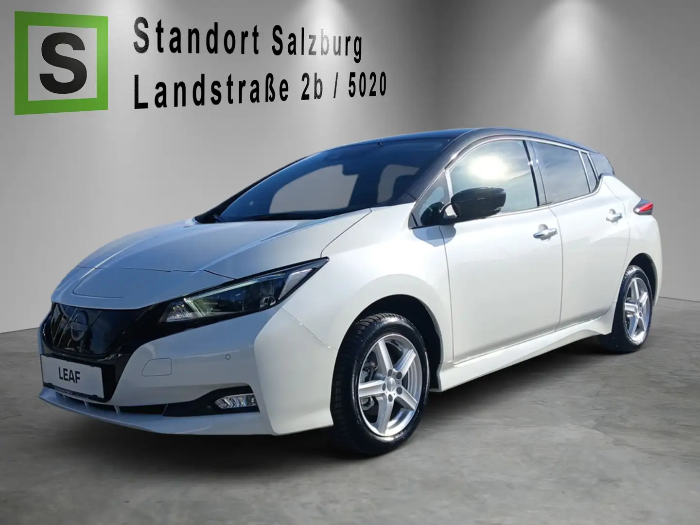 Nissan Leaf LEAF (ZE1) TEKNA 59kWh e+ Option Weiß - 1