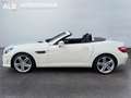 Mercedes-Benz SLK 250 Roadster  BlueEfficiency/AMG-LINE/XENON/ Blanc - thumbnail 3