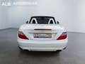 Mercedes-Benz SLK 250 Roadster  BlueEfficiency/AMG-LINE/XENON/ Blanc - thumbnail 5