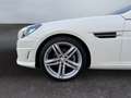 Mercedes-Benz SLK 250 Roadster  BlueEfficiency/AMG-LINE/XENON/ Blanc - thumbnail 13