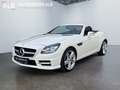 Mercedes-Benz SLK 250 Roadster  BlueEfficiency/AMG-LINE/XENON/ Blanc - thumbnail 1