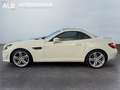 Mercedes-Benz SLK 250 Roadster  BlueEfficiency/AMG-LINE/XENON/ Blanc - thumbnail 15