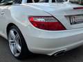 Mercedes-Benz SLK 250 Roadster  BlueEfficiency/AMG-LINE/XENON/ Blanc - thumbnail 29