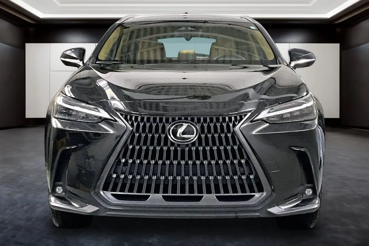 Lexus NX снимка Lexus NX