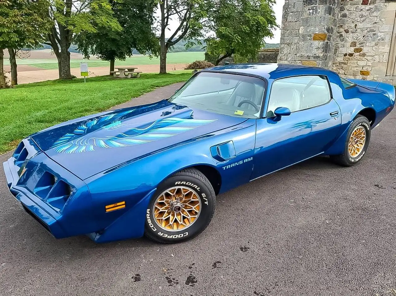 Pontiac Firebird Trans Am, foto 3