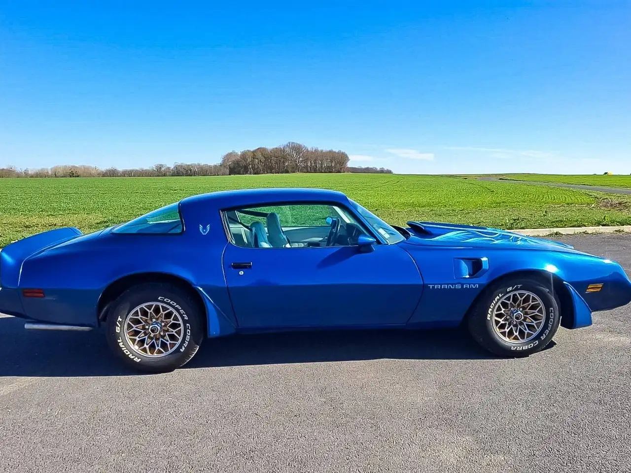 Pontiac Firebird Trans Am, foto 11