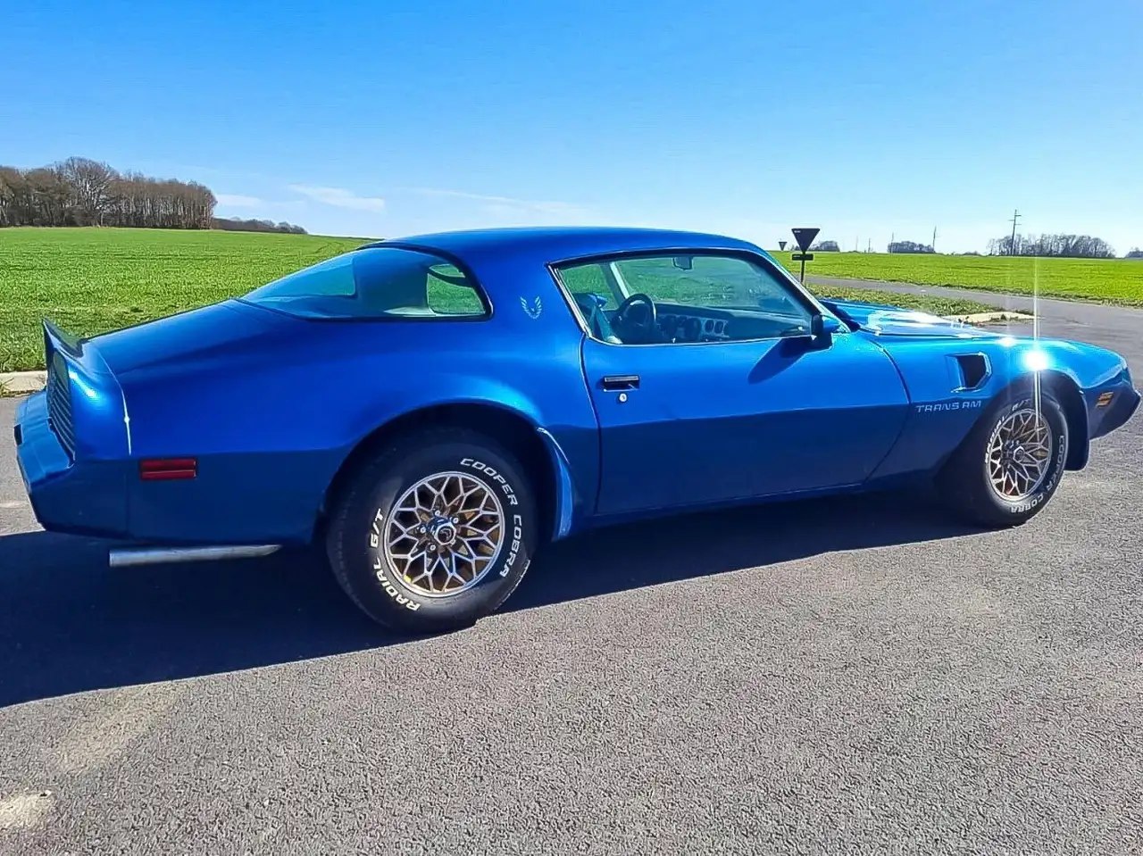 Pontiac Firebird Trans Am, foto 10
