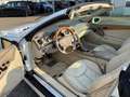 Mercedes-Benz SL 500 SL 500, Braubus ( B11 ), gepflegt Bianco - thumbnail 4