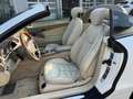 Mercedes-Benz SL 500 SL 500, Braubus ( B11 ), gepflegt Bianco - thumbnail 5