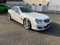 Mercedes-Benz SL 500 SL 500, Braubus ( B11 ), gepflegt Bianco - thumbnail 15