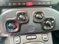 Fiat Panda Panda 1.0 firefly hybrid s Nero - thumbnail 12