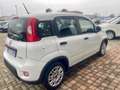 Fiat Panda Panda 1.0 firefly hybrid s Nero - thumbnail 4