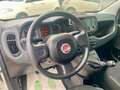 Fiat Panda Panda 1.0 firefly hybrid s Nero - thumbnail 7