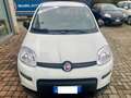Fiat Panda Panda 1.0 firefly hybrid s Nero - thumbnail 2