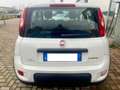 Fiat Panda Panda 1.0 firefly hybrid s Nero - thumbnail 5