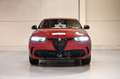 Alfa Romeo Tonale Tonale 1.6 130 ch TCT7 Rouge - thumbnail 2