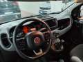 Fiat Panda 1.0 hybrid City Life70cv 5p.ti CARPLAY Blu/Azzurro - thumbnail 14