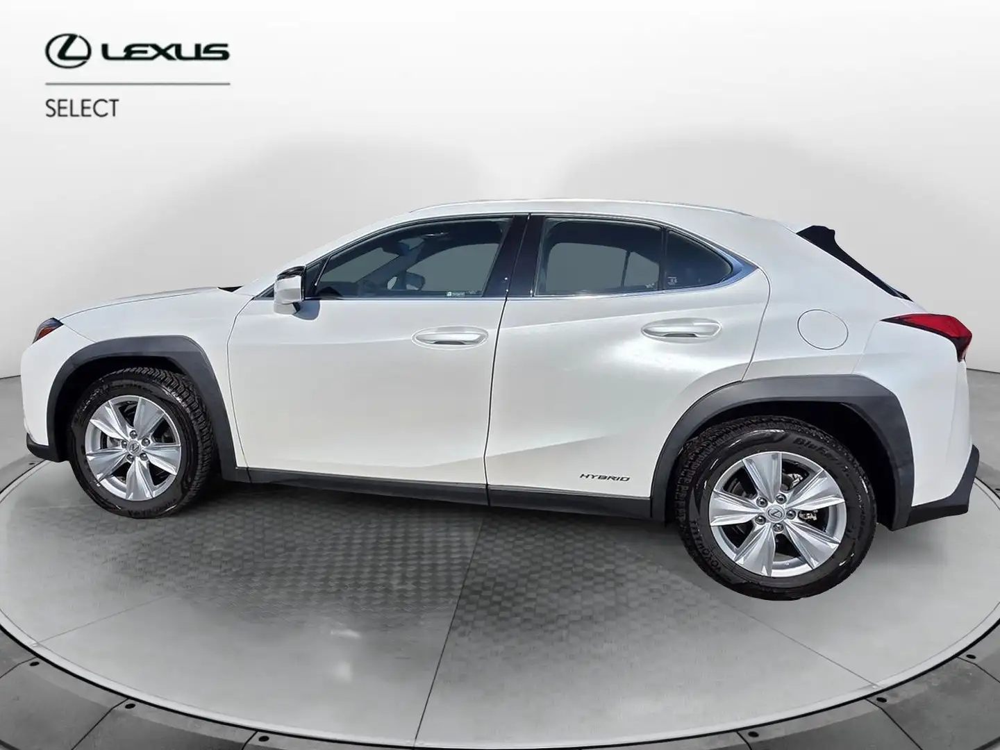 Lexus UX 250h UX Hybrid Business Bianco - 1