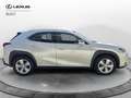 Lexus UX 250h UX Hybrid Business Bianco - thumbnail 4