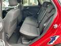 Ford Focus Turnier Titanium WINTERPAKET  NAVI PARKASSISTENT Rot - thumbnail 13