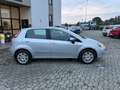 Fiat Punto Punto 1.2 8V 5 porte Lounge Grigio - thumbnail 3