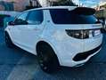 Land Rover Discovery Sport 2.0 td4 AUT. NAV. CAMERA Bianco - thumbnail 4