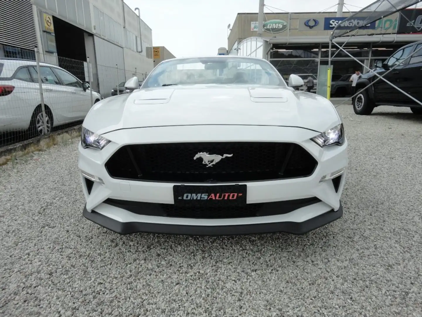 Ford Mustang Convertible 5.0 V8 TiVCT aut. GT Bianco - 2