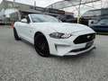 Ford Mustang Convertible 5.0 V8 TiVCT aut. GT Blanco - thumbnail 1