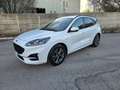 Ford Kuga AUTOCARRO N1,  ST-Line 2wd 120cv Blanco - thumbnail 5