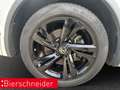 Volkswagen Tiguan 2.0 TSI DSG 4Mo. R-Line STANDH PANO AHK VIEW Weiß - thumbnail 29