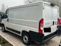 Fiat Ducato DUCATO 30 L1 H1 2.2 Mjt3 120CV Bianco - thumbnail 4