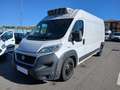 Fiat Ducato VI 35 LH2 3.0 CNG 136cv FRIGO Bianco - thumbnail 1