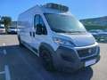 Fiat Ducato VI 35 LH2 3.0 CNG 136cv FRIGO Bianco - thumbnail 3