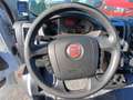 Fiat Ducato VI 35 LH2 3.0 CNG 136cv FRIGO Bianco - thumbnail 11