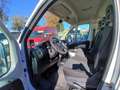 Fiat Ducato VI 35 LH2 3.0 CNG 136cv FRIGO Bianco - thumbnail 7