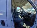 Fiat Ducato VI 35 LH2 3.0 CNG 136cv FRIGO Bianco - thumbnail 8