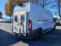 Fiat Ducato VI 35 LH2 3.0 CNG 136cv FRIGO Bianco - thumbnail 6