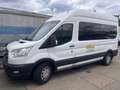 Ford Transit Kombi 350 L3 Trend 9-Sitzer Weiß - thumbnail 1