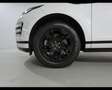 Land Rover Range Rover Evoque 1.5 I3 MHEV R-Dynamic Bianco - thumbnail 7