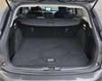 Ford Focus Turnier 1,5 EcoBoost Hybrid Active mit Navig Grau - thumbnail 19
