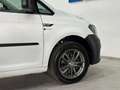 Volkswagen Caddy 2,0 TDI**1.BESITZ**NETTO: 14.992,-- !! Bianco - thumbnail 10
