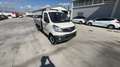 Piaggio Porter NP6 SW LR GPL 3070/2800 Ribaltabile TOP Blanco - thumbnail 3