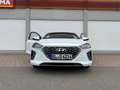 Hyundai IONIQ Hybrid 1.6 GDI Prime Schiebedach Vollausstattung Weiß - thumbnail 3