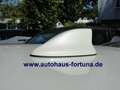 Nissan Leaf Tekna e+ 62 kwh Leder Bose LED Winterpaket White - thumbnail 5