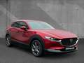 Mazda CX-30 2.0 X 6GS SELECTION Matrix 360°HUD Navi Rot - thumbnail 5