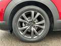 Mazda CX-30 2.0 X 6GS SELECTION Matrix 360°HUD Navi Rot - thumbnail 6