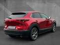 Mazda CX-30 2.0 X 6GS SELECTION Matrix 360°HUD Navi Rot - thumbnail 3