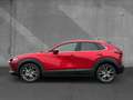 Mazda CX-30 2.0 X 6GS SELECTION Matrix 360°HUD Navi Rot - thumbnail 2