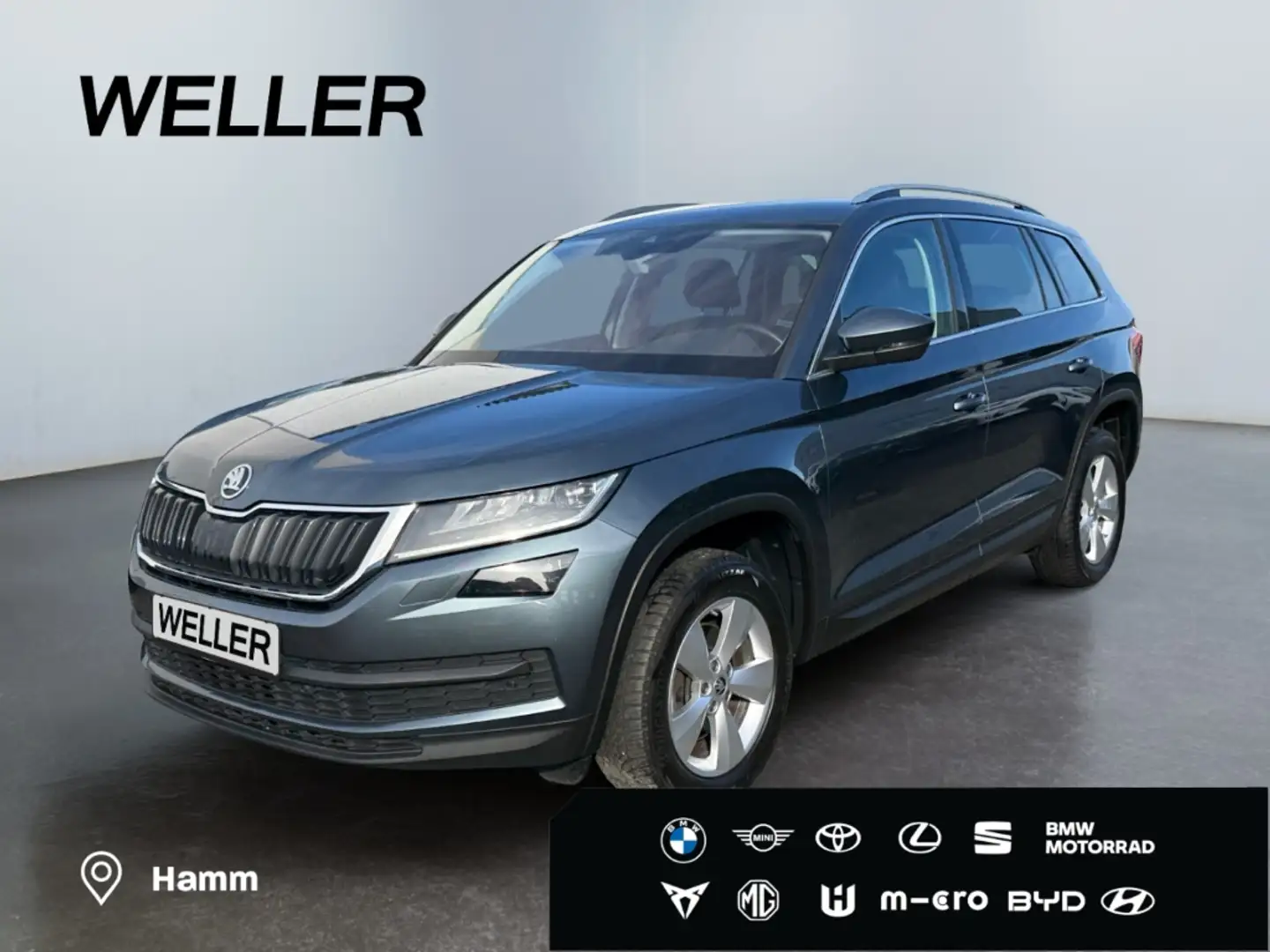 Skoda Kodiaq 2.0 TDI 4x4 DSG Style *StHz*el Sitze*SHZ* Grau - 1